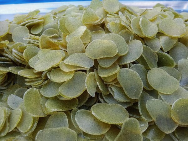 ข้าวเกรียบไข่ผำ (แผ่นดิบ) - Image 3