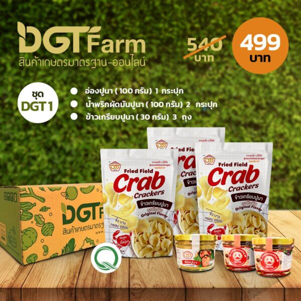 DGT Farm Set