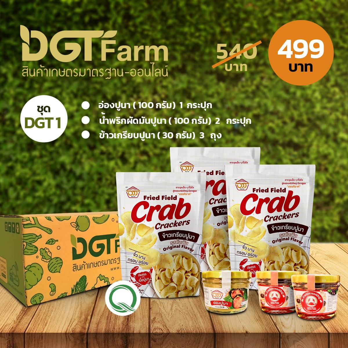 DGT Farm Set